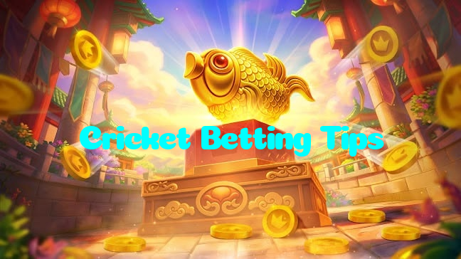 making first deposit on Cricket Betting Tips website using local payment methods in Pakistan